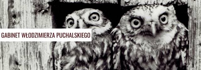 Gabinet Włodzimierza Puchalskiego