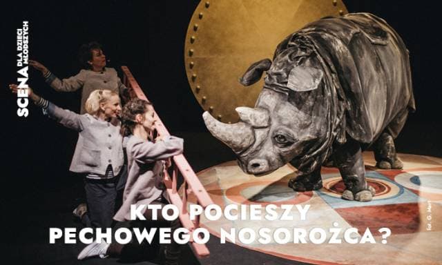 Kto pocieszy pechowego Nosorożca?