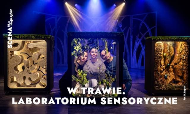 W trawie. Laboratorium sensoryczne