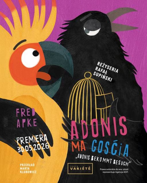 Adonis ma gościa