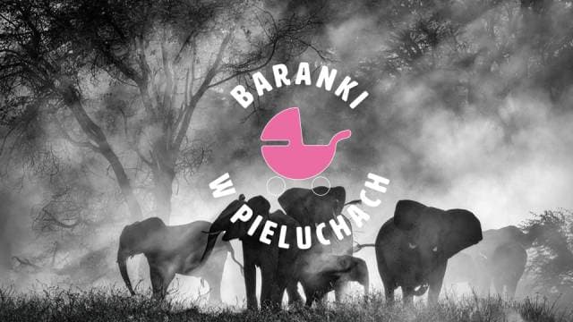 Sny o słoniach. Baranki w Pieluchach