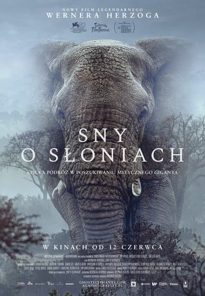 Dokumentalna Kreska: Sny o słoniach