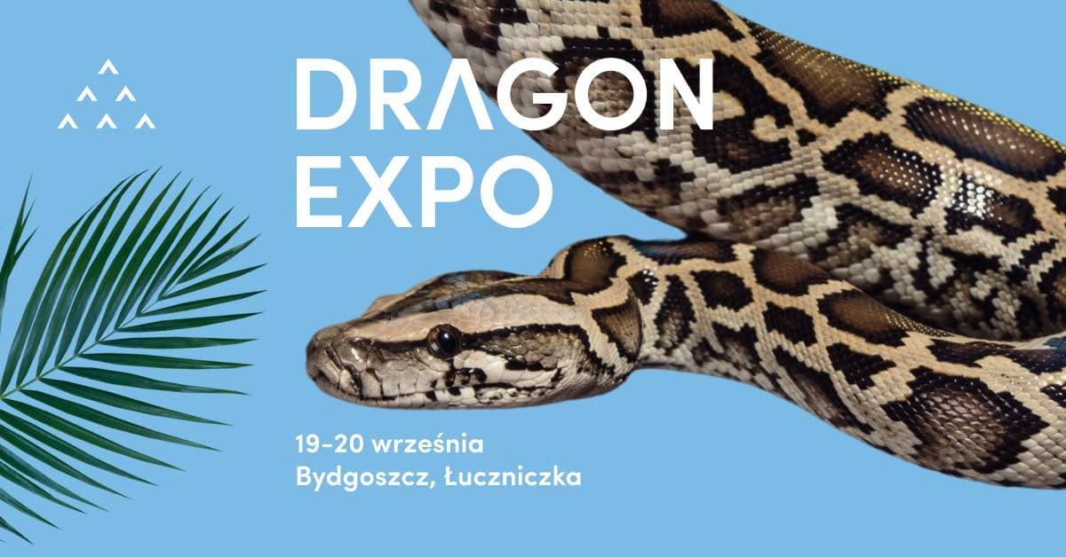 Event Terrarystyczny i Botaniczny Dragon Expo