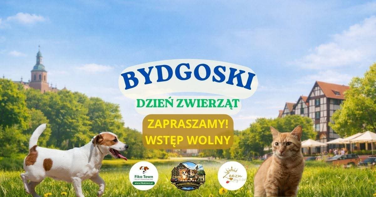 Bydgoski Dzień Zwierząt i Opiekunów