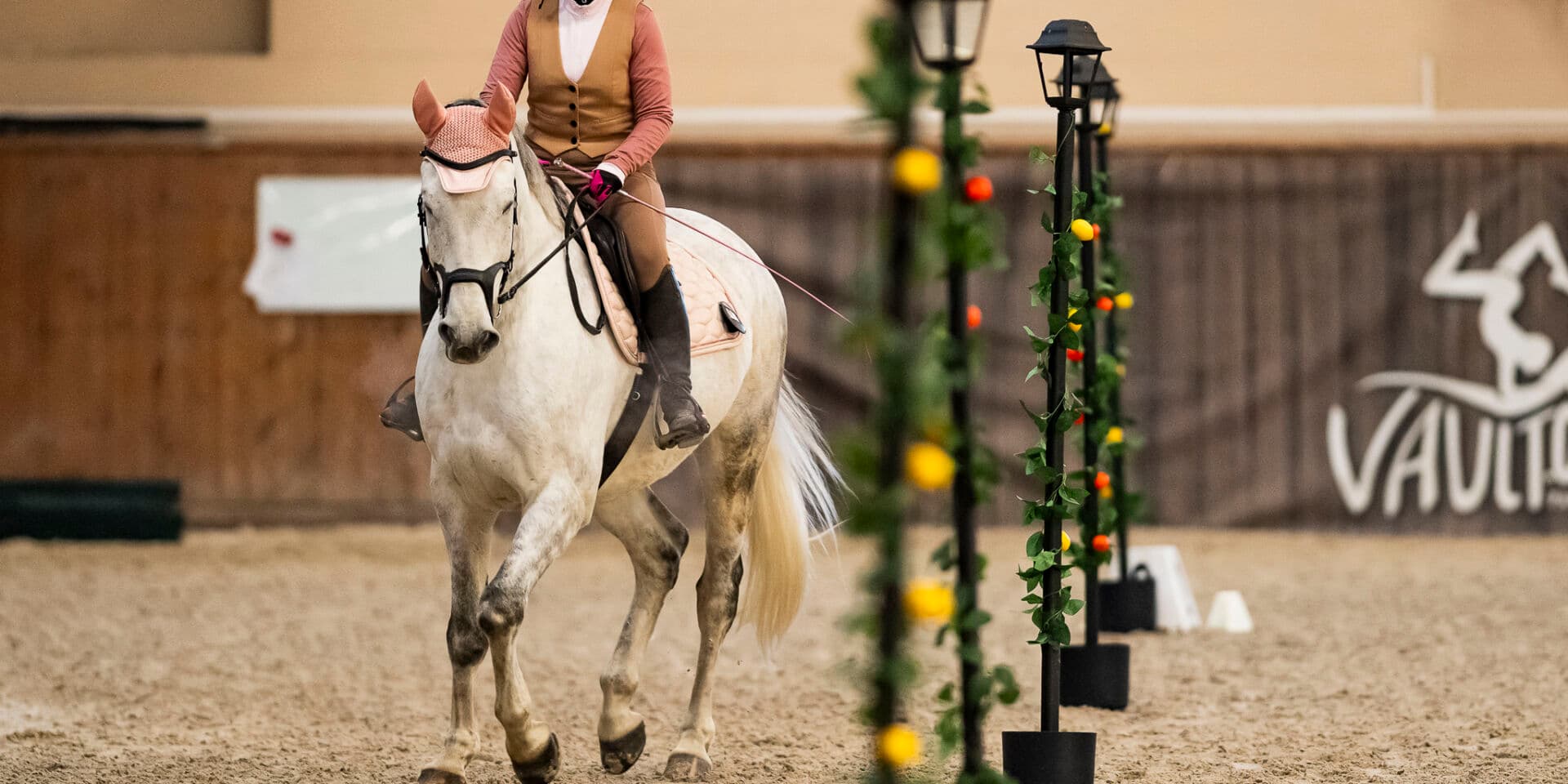 Mistrzostwa Polski Working Equitation 10/26