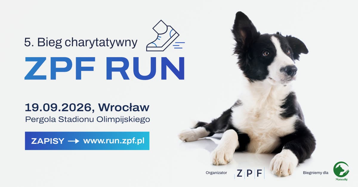 ZPFRUN bieg charytatywny dla Fundacji Pomocy Zwierzętom MATUZALKI