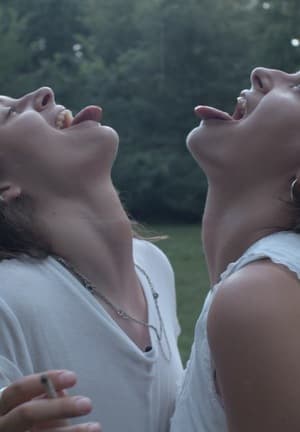 12. Przeźrocza Festiwal Filmowy: Błysk Oka - III blok filmów konkursowych - filmy dokumentalne