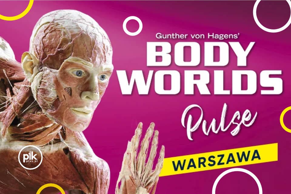 Body Worlds - Pulse