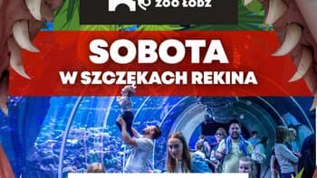 Sobota w szczękach rekina w Orientarium Zoo Łódź