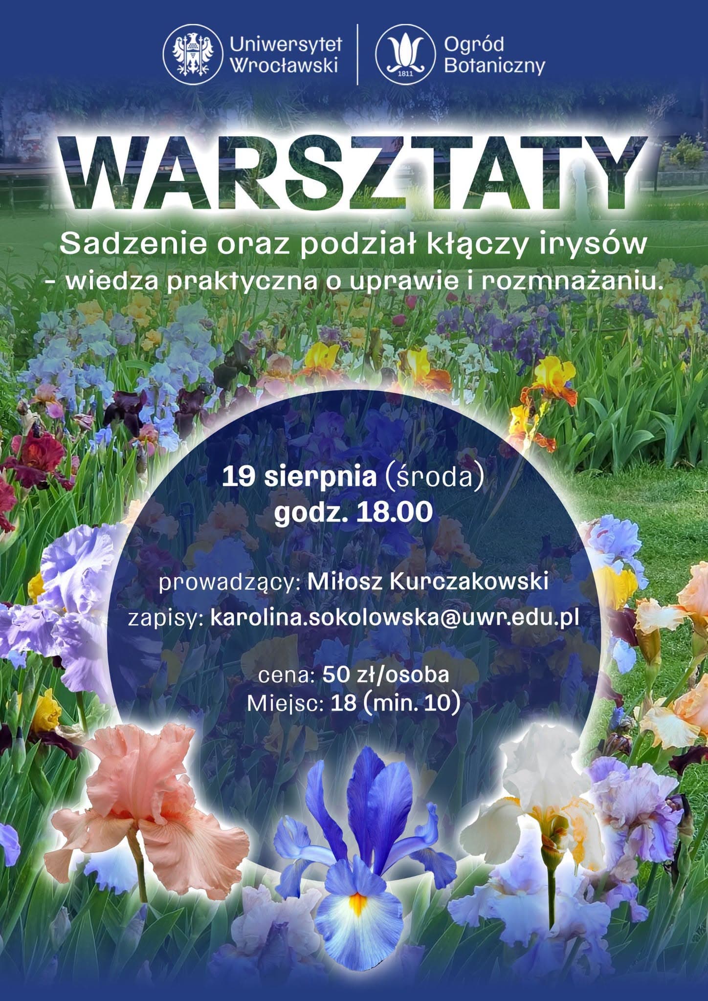 Sadzenie oraz podział kłączy irysów - warsztaty