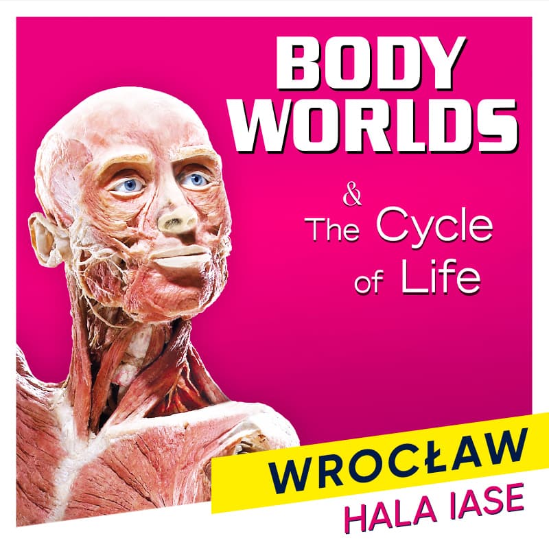 Wystawa Body Worlds „The Cycle of Life”