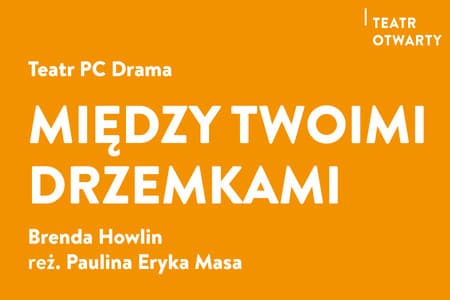 Między twoimi drzemkami